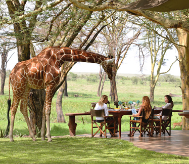 Luxury Safaris in Kenya and Tanzania