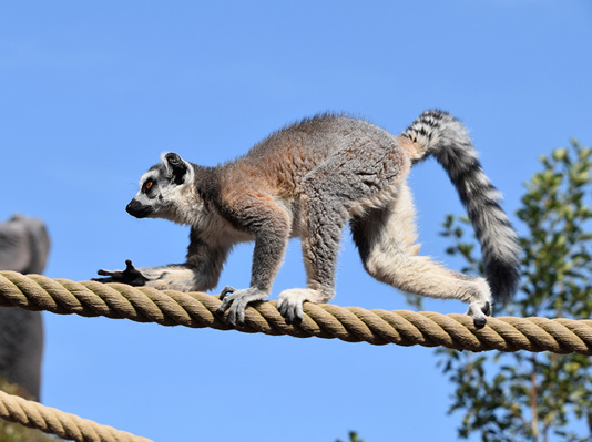 Madagascar Lxuury Holidays