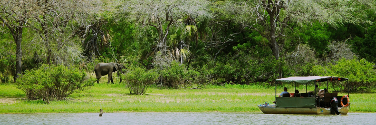 Selous Game Reserve - Luxury Safaris in Kenya and Tanzania